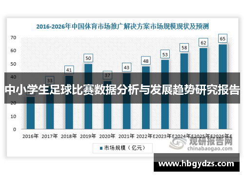 中小学生足球比赛数据分析与发展趋势研究报告